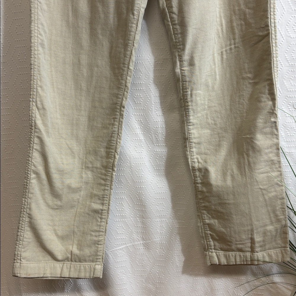 Marine Layer Beige Drawstring Pants - image 5